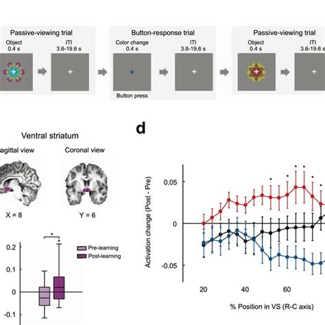 Primate ventral striatum maintains neural representations of.